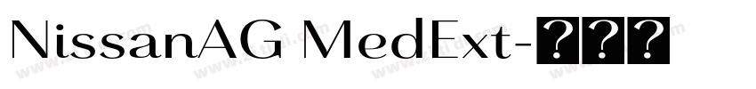 NissanAG MedExt字体转换